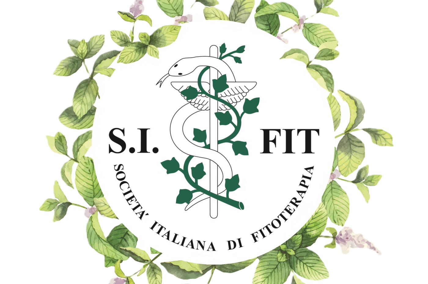 Programma XXXII Congresso Nazionale di Fitoterapia – aggiornamenti 2.0