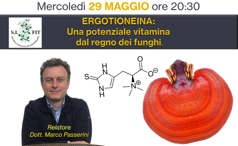 2° Webinar S.I.Fit. – Ergotioneina: una potenziale vitamina dal regno dei funghi